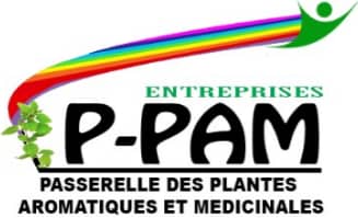 PASSERELLE DES PAM